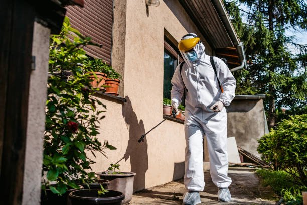 Best Exterminator Services  in Rapids, NY