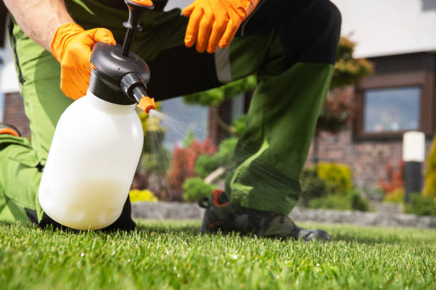 Best Best Pest Control Companies  in Rapids, NY