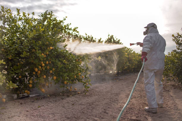 Best Best Pest Control Companies  in Rapids, NY