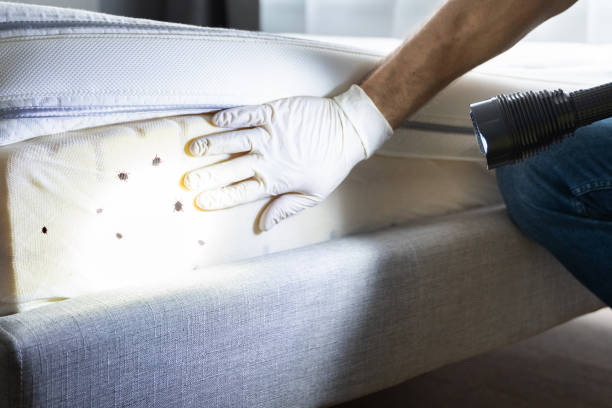 Pest Control Cost in Rapids, NY