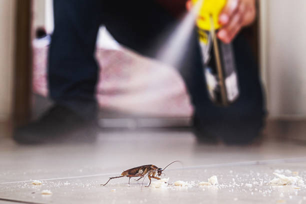 Best Pest Control for Businesses  in Rapids, NY