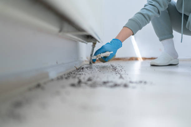 Best Mosquito Control Services  in Rapids, NY