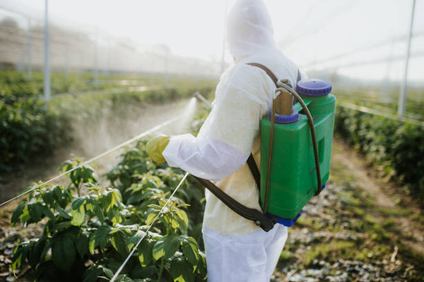 Best Pest Prevention Services  in Rapids, NY